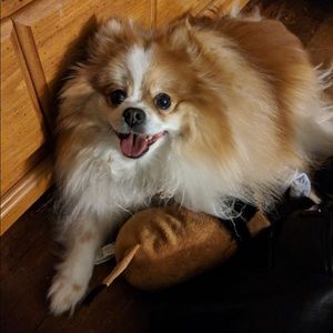 Meet your Posher, Alix